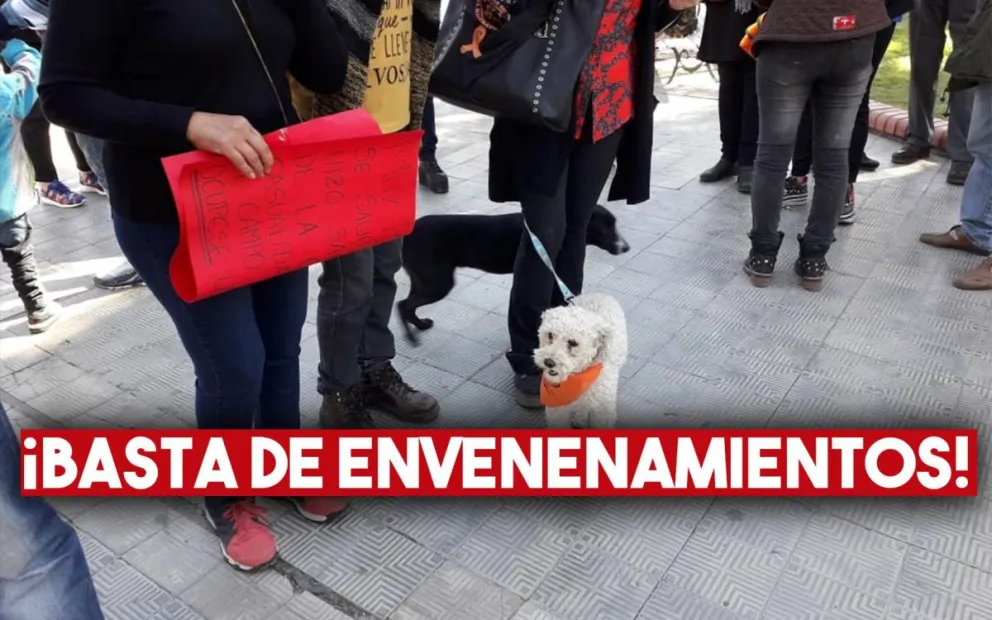 Defensores de animales marcharon contra los envenenamientos de perros