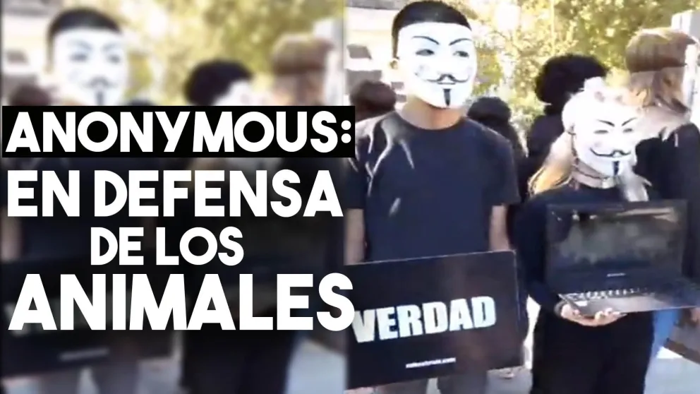 La voz de los sin voz