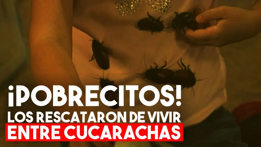 La mochila llena de cucarachas desnudó una triste realidad para cinco hermanitos