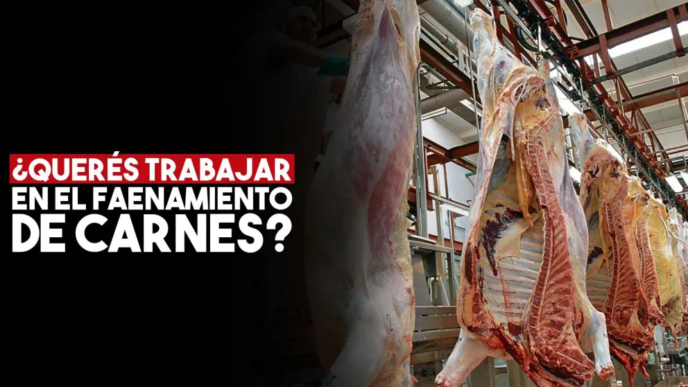 Abrirán una planta de faenamiento, ¿qué profesionales buscan?