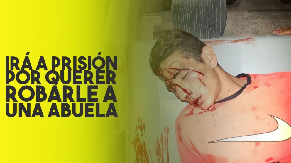 El ladrón que quiso robarle a una abuela, cuatro años a prisión