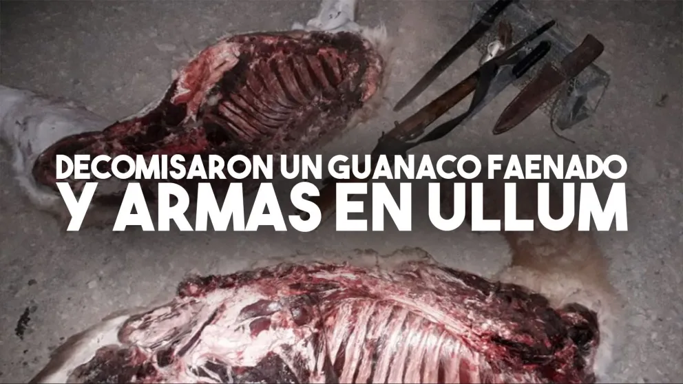 Decomisaron un guanaco faenado y armas en Ullum