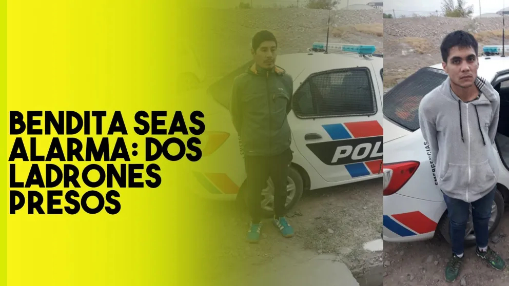 Dos ladrones intentaron ingresar a una vivienda pero sonó la alarma
