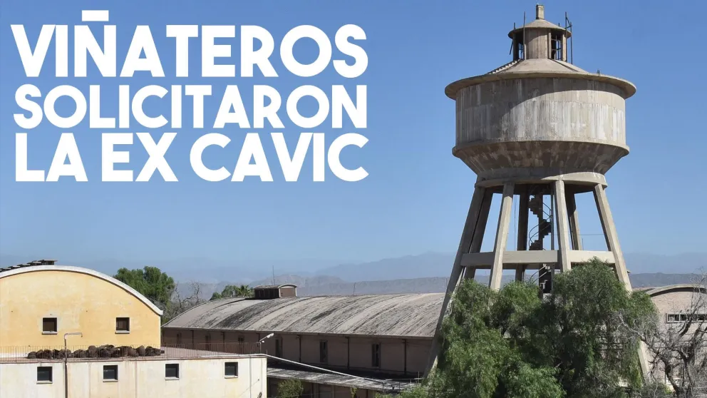 Viñateros piden que la ex Cavic sea usada para una planta de mosto concentrado