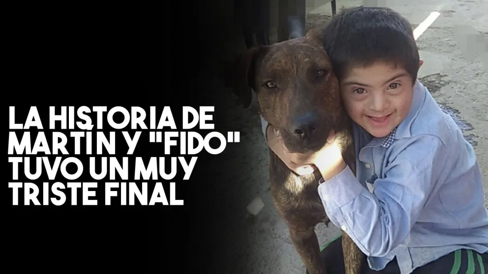 Envenenaron el perro de un nene con Síndrome de Down