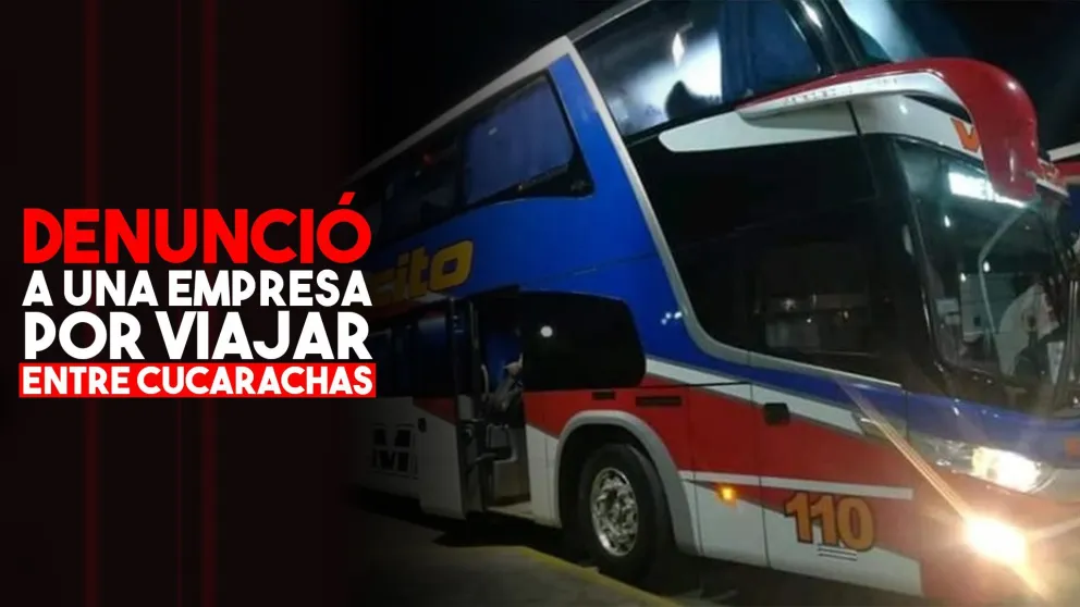 Denunció a una empresa por viajar plagado de cucarachas
