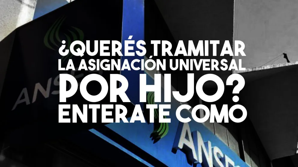Anses: cómo tramitar la Asignación Universal por Hijo