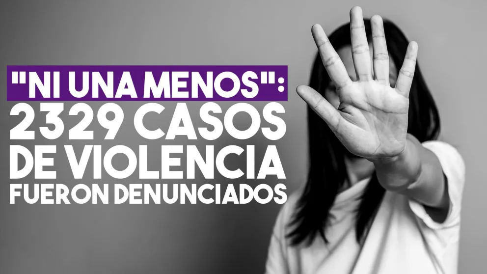 En San Juan, en cuatro meses, hubo 2329 casos de violencia de género