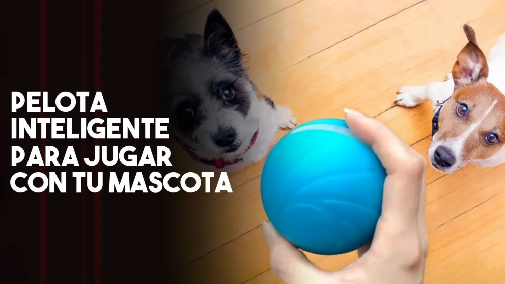 Mascotas: crean una pelota tech para entretener a perros y gatos