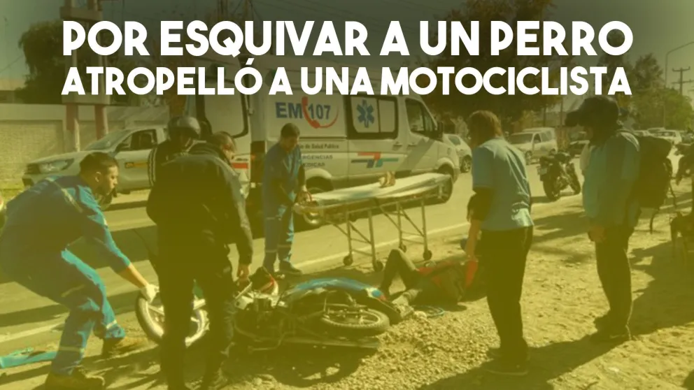 Por no pisar un perro, un camión atropelló a un motociclista
