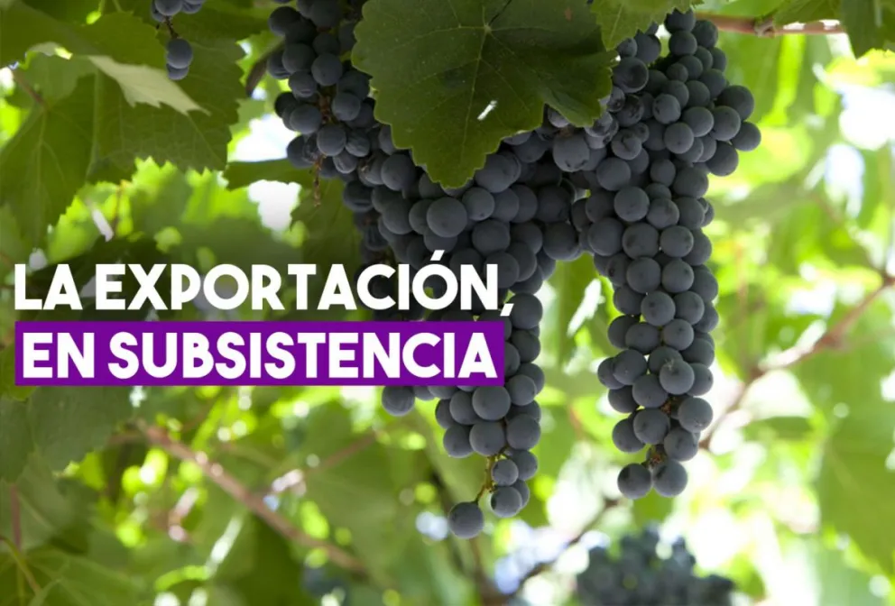 Afirman que el sector exportador atraviesa una temporada de “subsistencia”