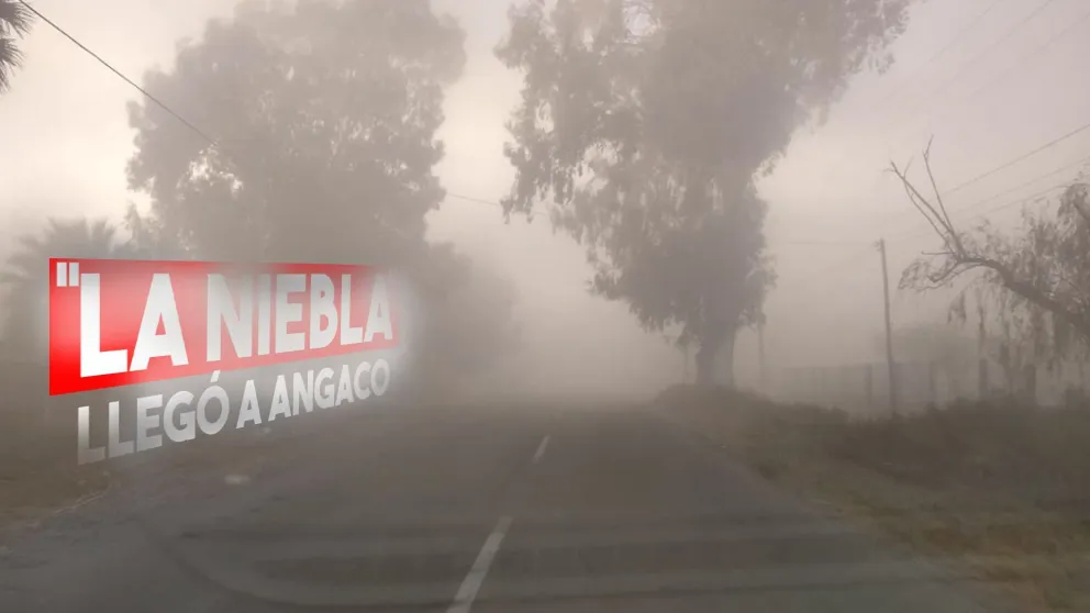 Pura niebla: así amaneció Angaco