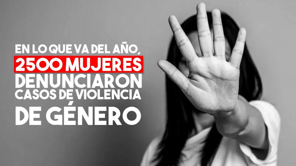 En lo que va del año, 2500 mujeres denunciaron casos de violencia de género