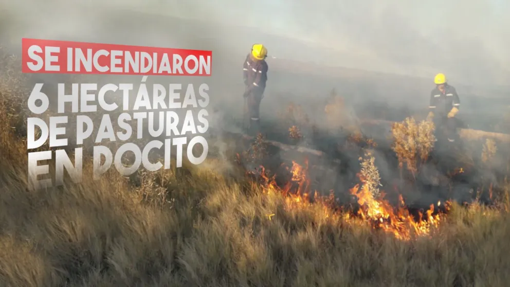 Se incendiaron 6 hectáreas de pasturas en Pocito