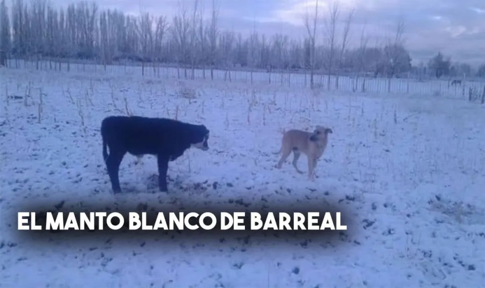 Así está Barreal tras las nevadas del fin de semana