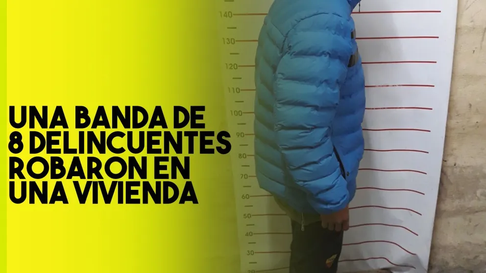 Ocho ladrones robaron en una vivienda