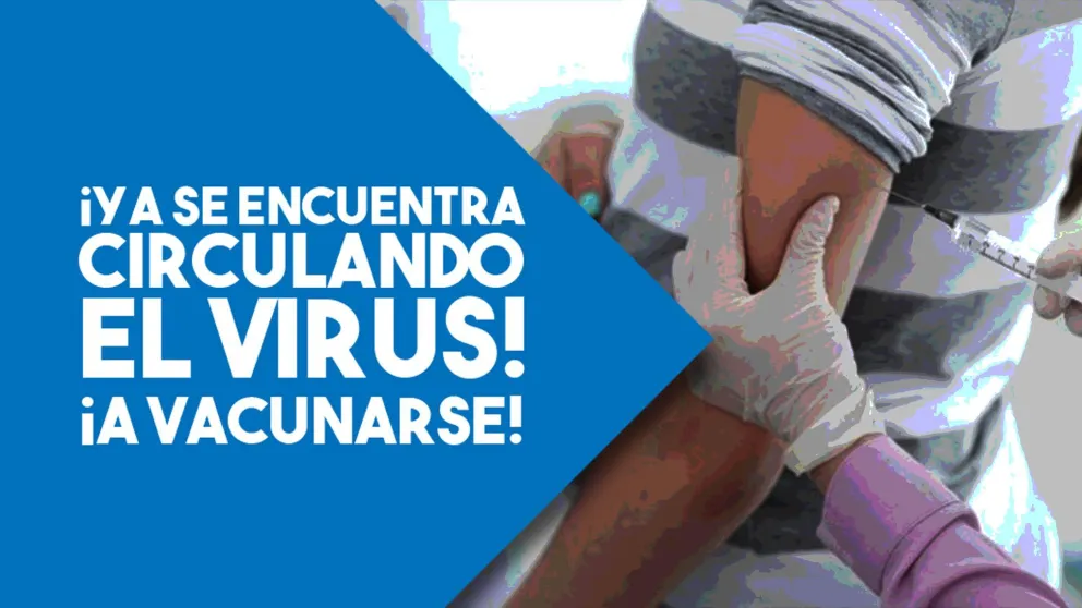 Solo el 40% de las embarazadas se han vacunado contra la gripe