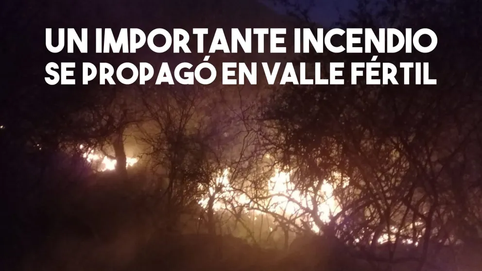Un incendio importante en Valle Fértil asustó a los vecinos