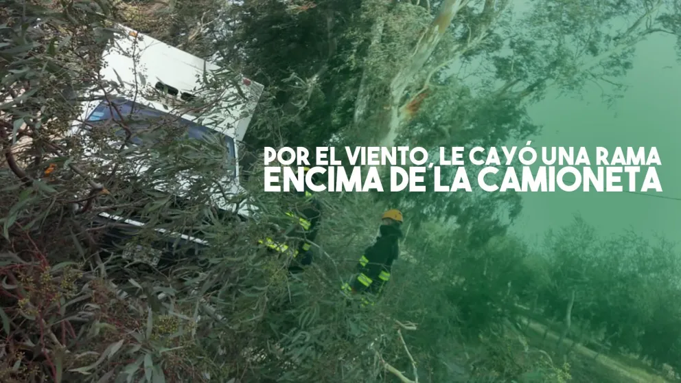 Por el viento, le cayó una rama de gran tamaño encima de la camioneta