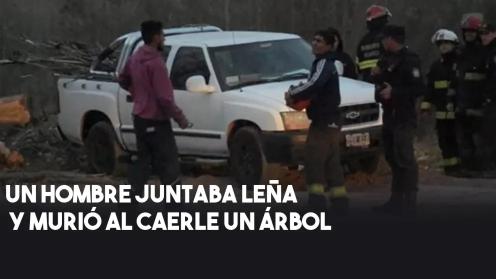 Mendoza: una persona murió aplastada por un árbol