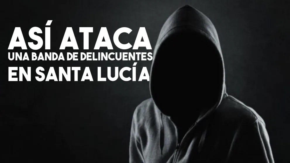 Ladrones fueron descubiertos por una cámara de seguridad mientras robaban