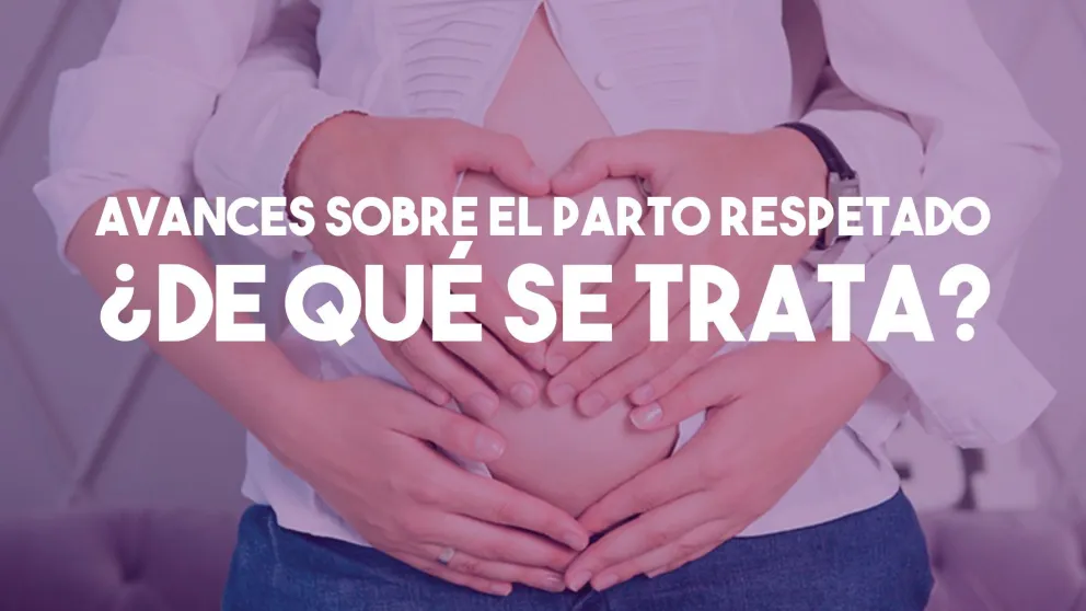 Referentes debatieron avances para garantizar un parto respetado