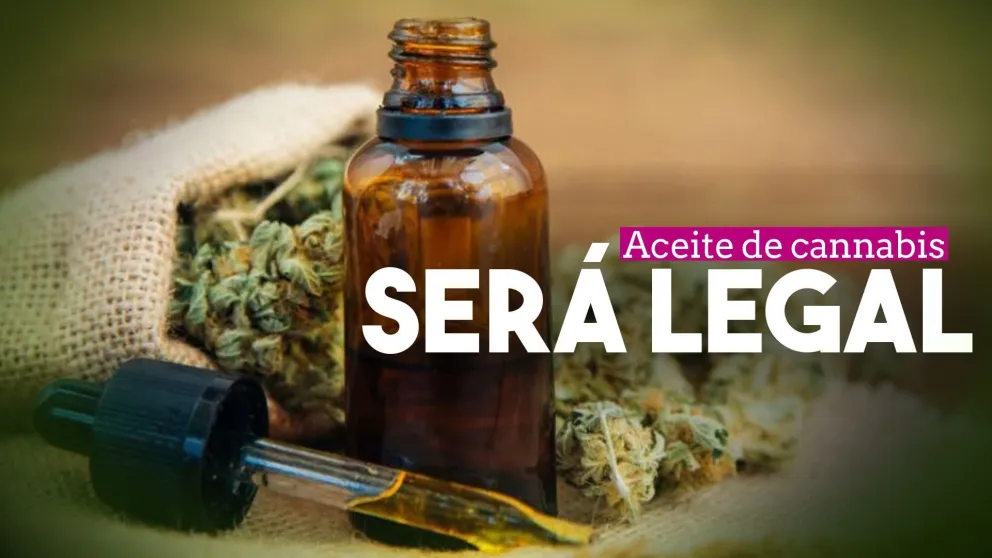 Aprobarán el cultivo de cannabis medicinal en San Juan