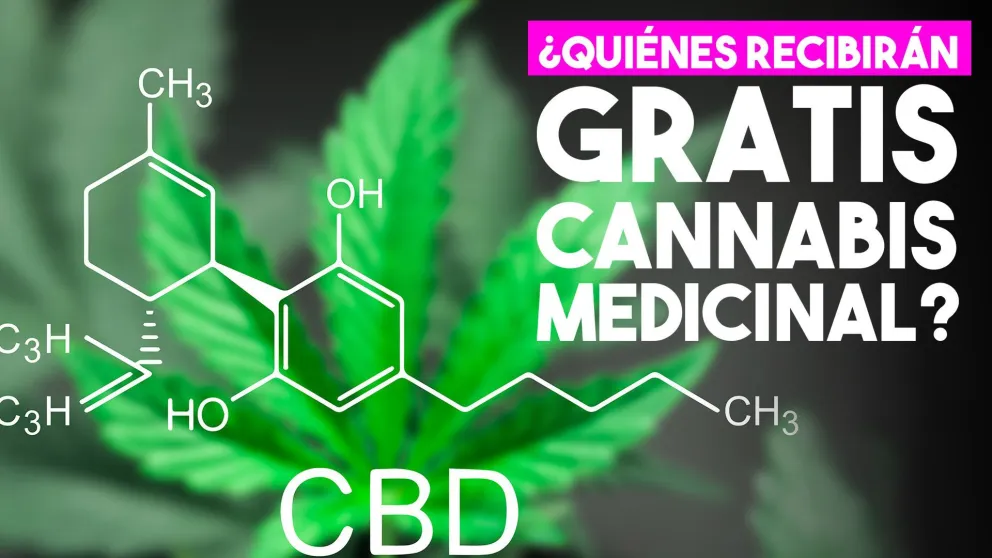 El Gobierno entregará gratis cannabis medicinal a pacientes con prescripción médica
