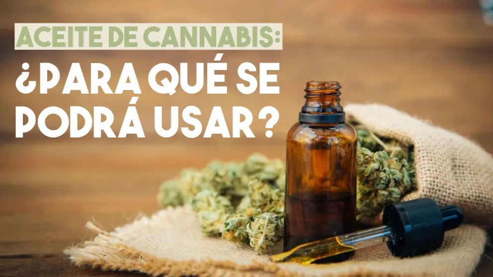 San Juan adhirió a la Ley Nacional de Cannabis