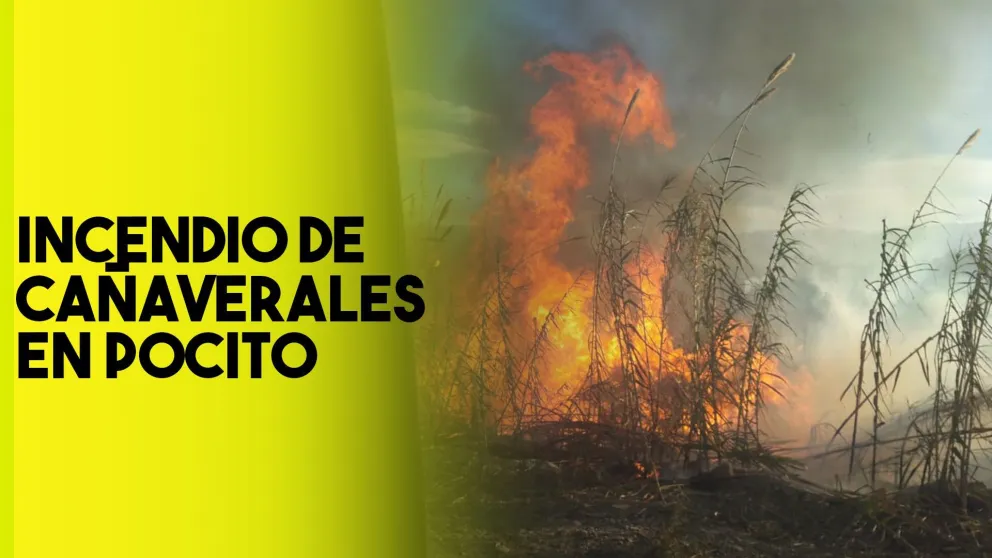 Incendio de cañaverales en Pocito