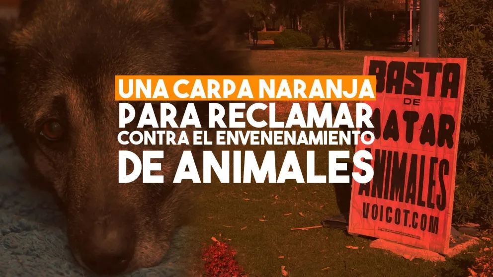 Instalarán una carpa naranja para reclamar contra el envenenamiento de animales