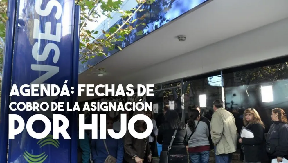 Agendá: las fechas de cobro de la asignación universal por hijo