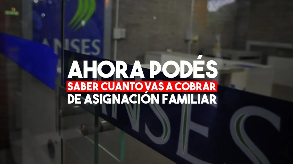 Ahora podes calcular cuanto vas a cobrar de asignaciones familiares