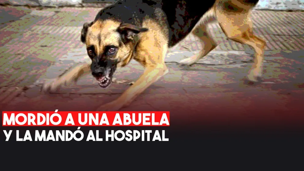 Una abuela terminó internada por que un perro la atacó en la calle