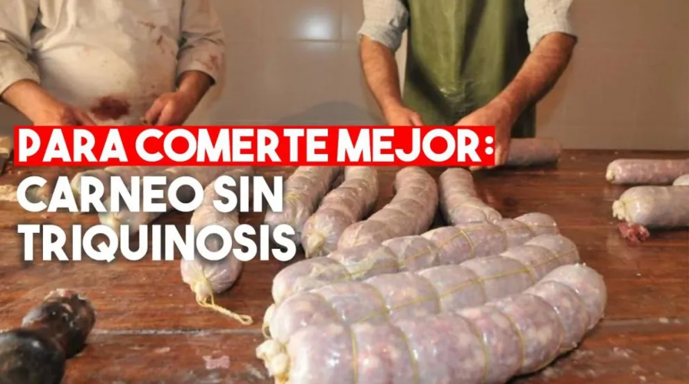 Carneo seguro: cómo evitar la triquinosis