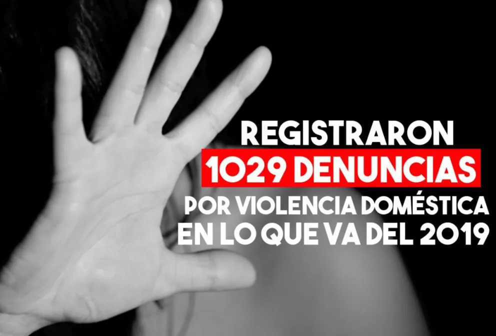 Desde que funciona el Registro de Violencia Doméstica, se registraron 1.225 denuncias