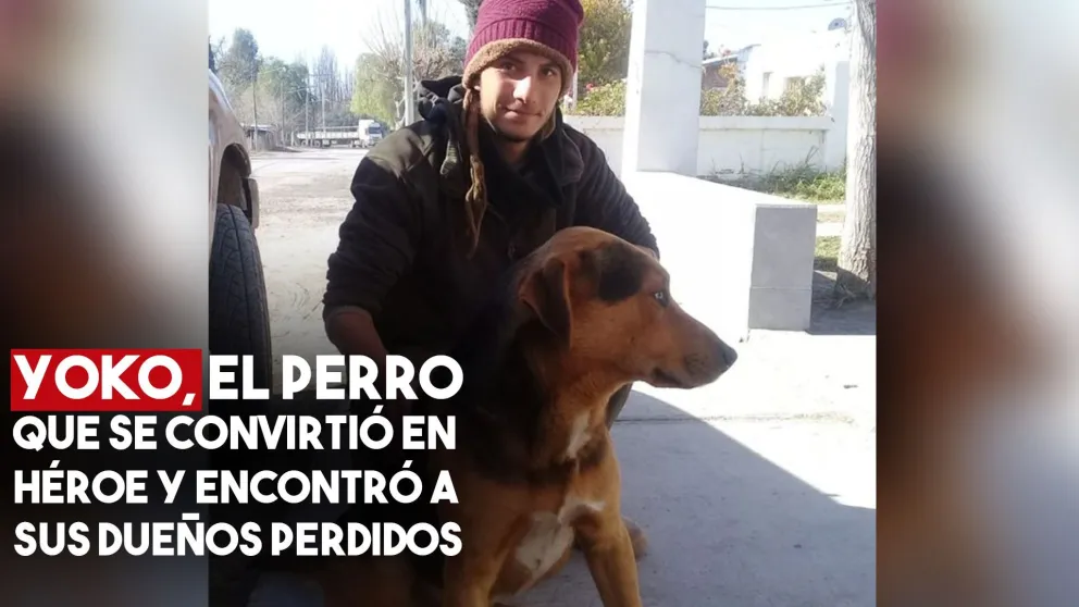 Tres mochileros franceses se perdieron y su perro los encontró