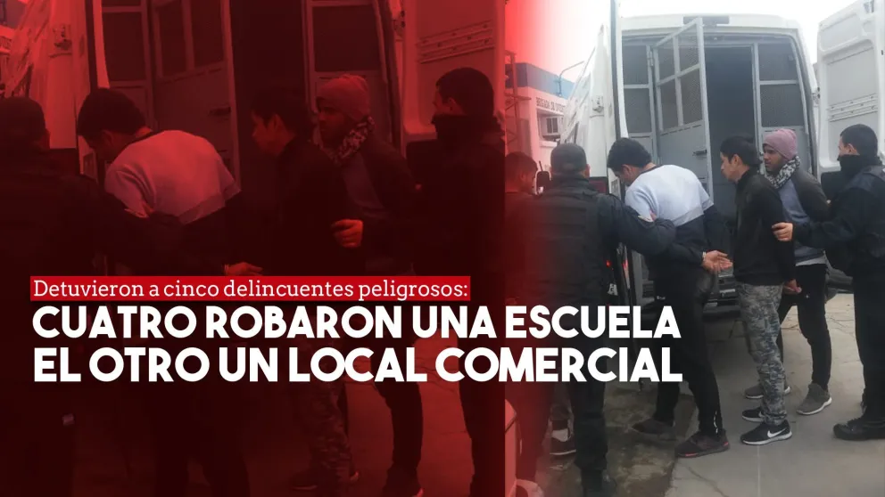 12 allanamientos, cinco detenidos por dos robos