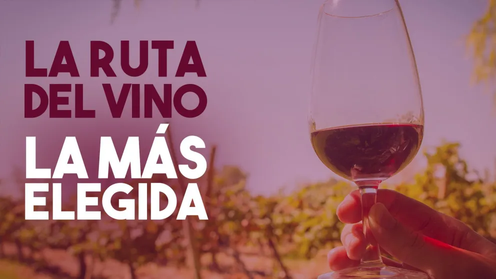 La Ruta del Vino, la más elegida entre los turistas en San Juan