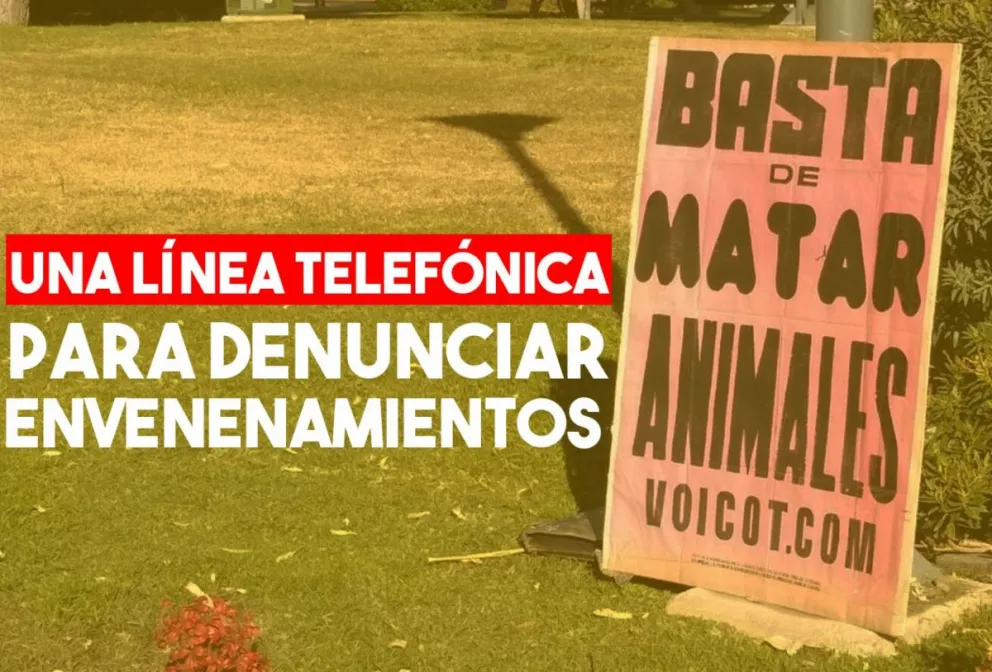 Ponen a disposición una línea telefónica para denunciar envenenamiento de animales