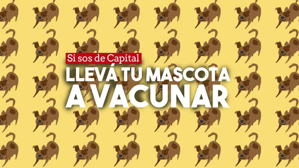 Vacunación antirrábica en Capital