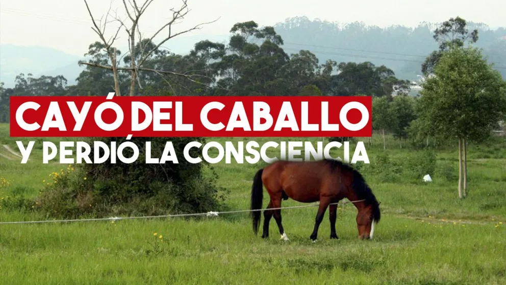 Cayó del caballo y quedó inconsciente