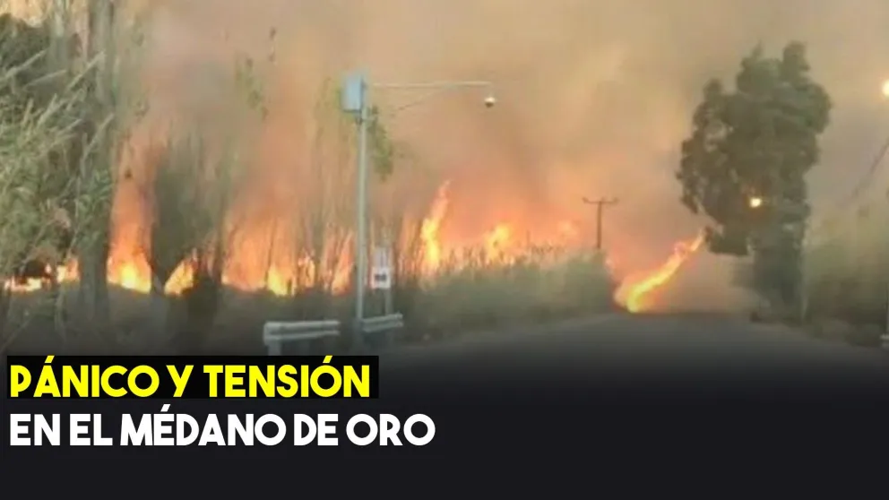 Médano de Oro: explotó un transformador y se incendiaron pastizales