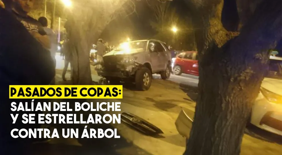Día del Amigo accidentado: venían ebrios y chocaron contra un árbol