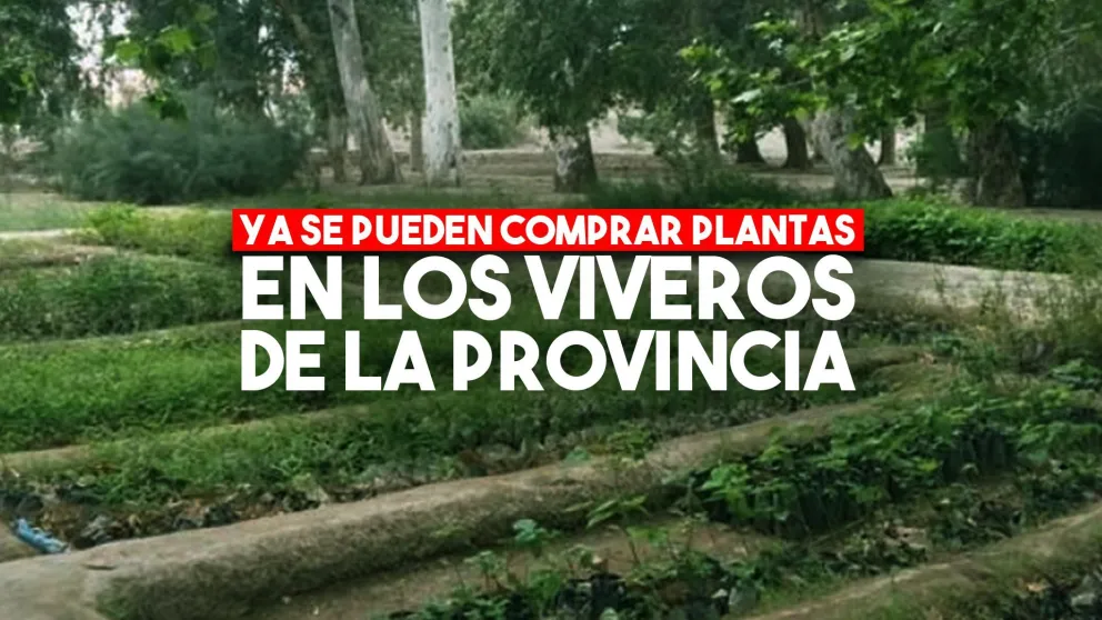 Comienza la venta de plantas en los viveros de la provincia