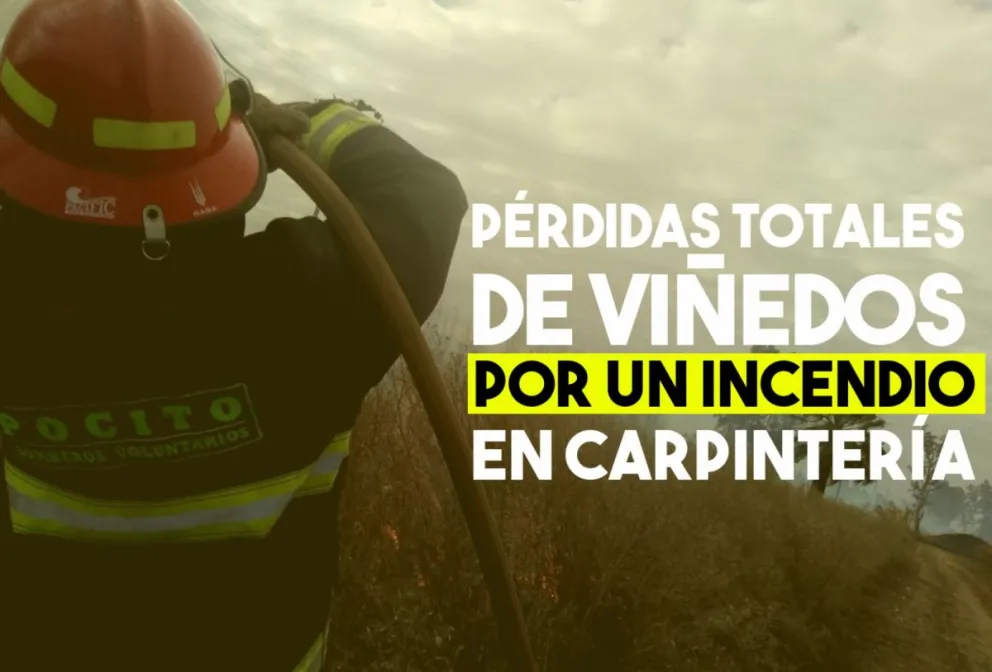 Un incendio produjo pérdidas totales de viñedos en Carpintería