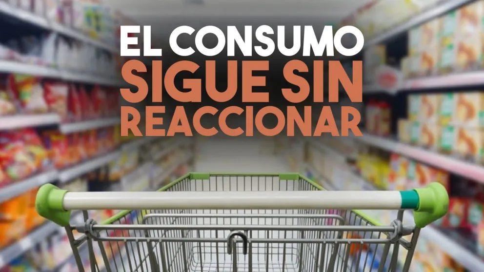 Cayeron hasta 18,7% en mayo las ventas en súper, mayoristas y shopping