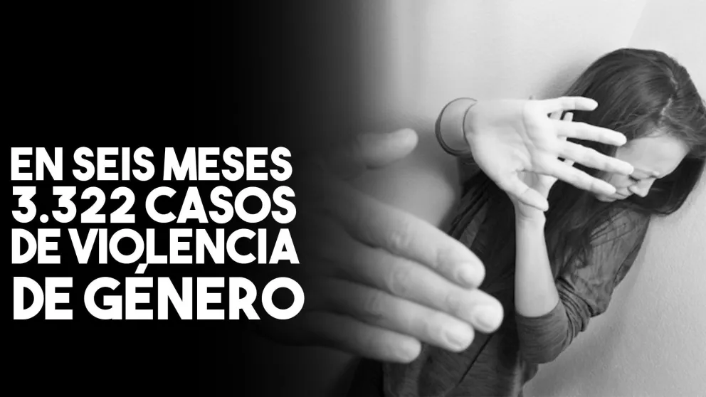 Violencia de Género: hasta junio de 2019, se registraron 2131 nuevos casos
