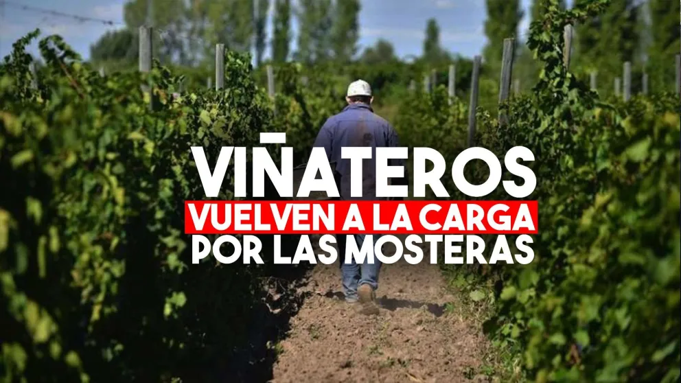 Viñateros le plantearon los problemas del sector al ministro Sica