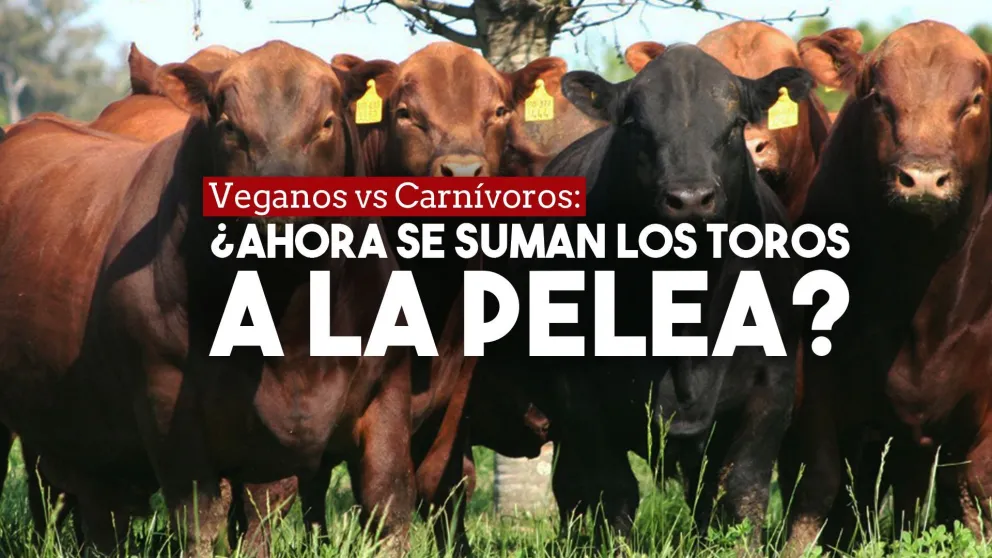Dos toros se escaparon de un matadero y uno atacó a una trabajadora de una parrilla